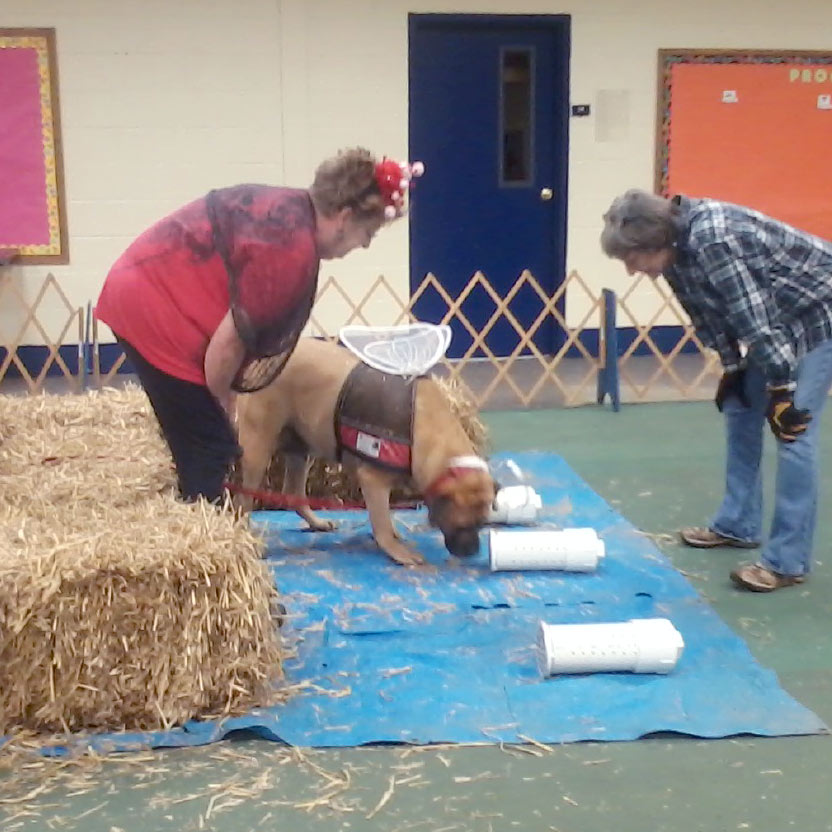 Catawba Valley Obedience Club, Hickory NC